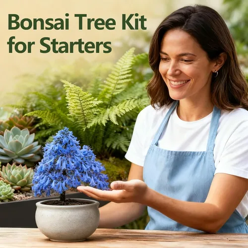Miniatura 4 de Kit de árbol bonsái de 4 semillas, kit vivo de árbol bonsái para principiantes, fácil de cultivar, kit completo de inicio de jardín