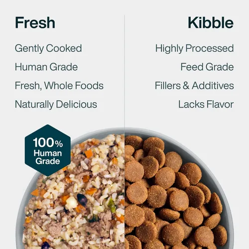 Miniatura 7 de JustFoodForDogs Alimento fresco congelado para perros, comida completa o aderezo, receta de comida para perros de grado humano con cordero y arroz