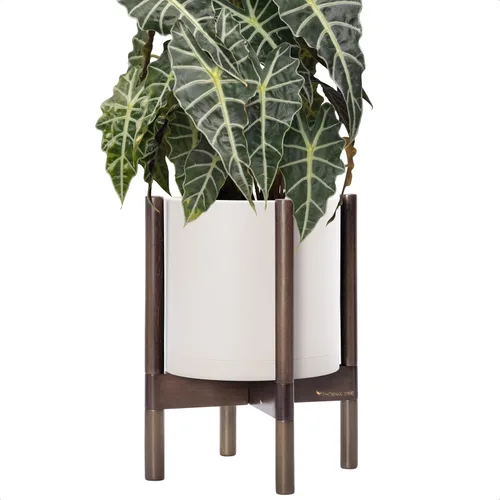 Miniatura 60 de Maceta de D'vine Dev con soporte - Maceta de flores de cilindro de plástico de 8.0 pulgadas con soporte de madera para interiores, maceta mate negra