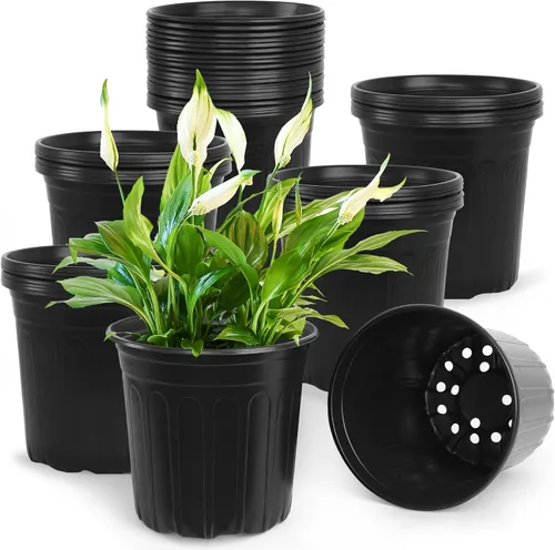 50 piezas de macetas de 2 galones para vivero, macetas de plástico suave y engrosadas con agujeros, contenedor de plántulas de flores de jardín para