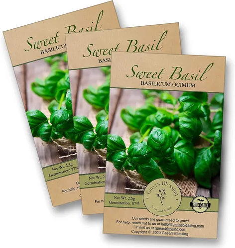 Miniatura 4 de Gaea's Blessing Semillas – Semillas de albahaca dulce – Hoja grande italiana de hoja grande de Pesto genovés de polinización abierta de alto
