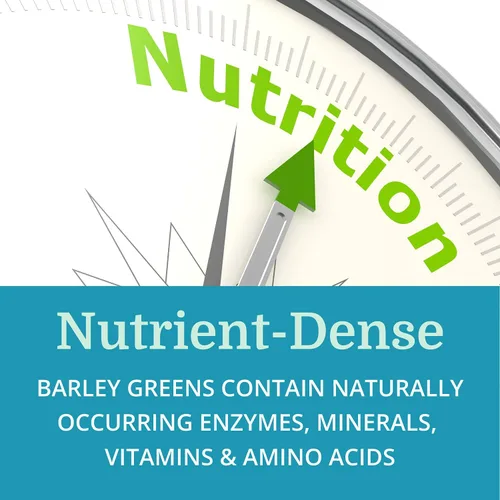 Miniatura 6 de Alka•Green Tablets Mejor Proceso Alcalino - Suplemento de hierba de cebada orgánica densa en nutrientes - Fuente natural de enzimas y aminoácidos
