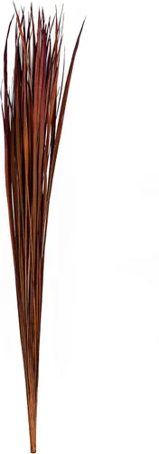Miniatura 8 de Leewadee Relleno de Jarrón Alto, Tallos de Hierba Natural – 2 Manojos de Ramas de Colores para Jarrones, Ramitas Cuidadosamente Secas para Burdeos