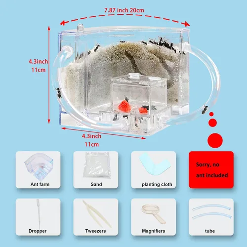 Miniatura 6 de EXBEPE Granja de Hormigas en Arena con Tubos Conectores, Hábitat Vivo de Hormigas, Kit de Ecosistema de Colonia en Terrario para Niños para Estudiar