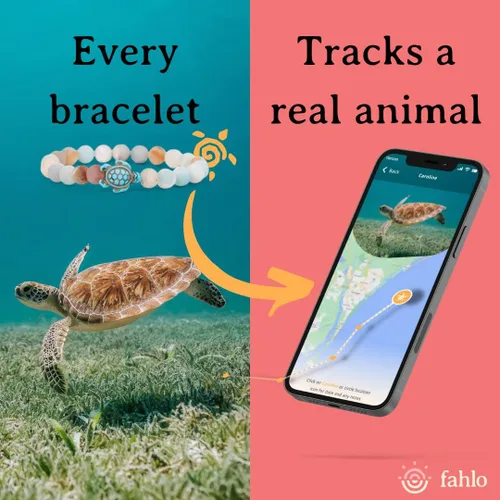 Miniatura 2 de Fahlo Pulsera de seguimiento de tortuga marina, elástica, soporta la conservación de tortugas marinas, talla única para hombres y mujeres, Piedra