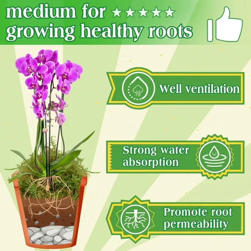 Miniatura 3 de Halatool 6OZ de musgo verde para plantas de interior, 8QT de musgo de orquídea para replantar, musgo de bosque para plantas en maceta, musgo real