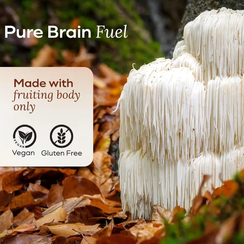 Miniatura 5 de Lions Mane - Gomitas de hongos para concentración y memoria, 500 mg de extracto corporal frutal, apoyo cognitivo y suplementos de salud cerebral