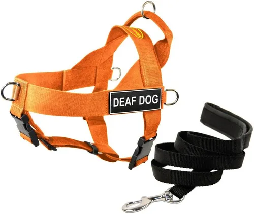 Miniatura 2 de Dean & Tyler DT Arnés universal sin tirones para perro, con parches para perros sordos y correa para cachorro, naranja, talla XS