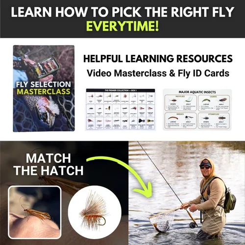 Miniatura 6 de Ventures Fly Co. Surtido de 122 moscas de pesca con mosca atadas a mano Dos cajas para moscas incluidas Seco, húmedo, ninfas, serpentinas