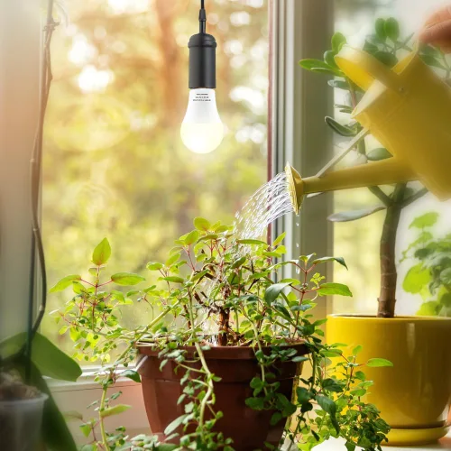 Miniatura 2 de Paquete de 2 bombillas LED de cultivo A19, bombilla de espectro completo para plantas, bombilla de cultivo E26 de 9 W que reemplaza hasta 80 W, luz