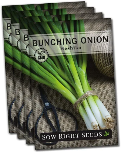 Miniatura 9 de Sow Right Seeds - Heshiko Semillas de cebolla verde japonesa agrupadas para plantar - Reliquia sin OMG - Instrucciones para plantar y cultivar un