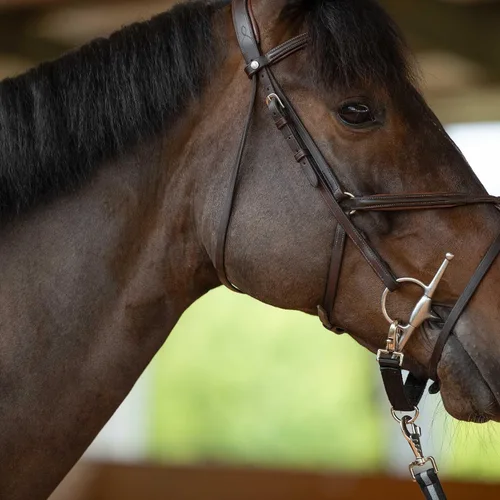 Miniatura 2 de Horze Correa de Lunging para Línea de Estocada de Caballo - Negro - Caballo