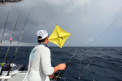 Miniatura 2 de Tigress Cometa de pesca, resistente cometa de pesca en alta mar fabricada con grafito de carbono 100%, incluye 5º mástil adicional