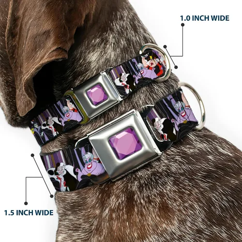 Miniatura 2 de buckle-down dc-wdy295-l dybf Princesa Gem Close perro collar, Large/15 – 26", Multicolor
