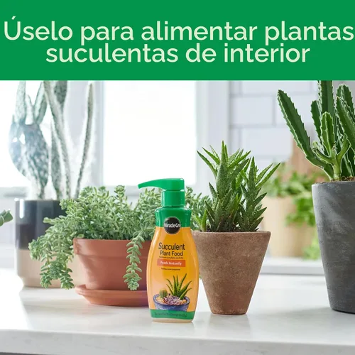 Miniatura 4 de Miracle-Gro Alimento para plantas suculentas, 8 onzas, para suculentas incluyendo cactus, jade y aloe