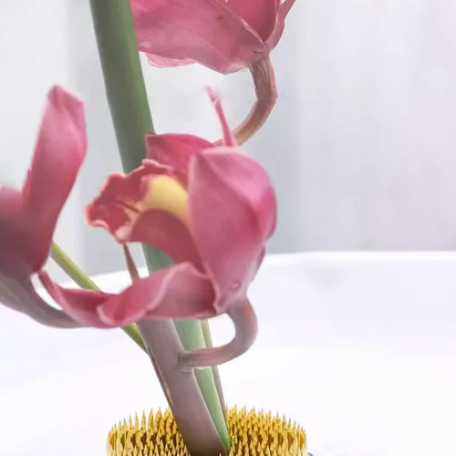 Miniatura 3 de Flower Frog - Soporte de acero inoxidable para arreglos florales (2.4 pulgadas)