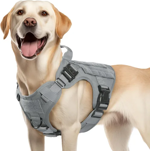 Miniatura 48 de rabbitgoo - Arnés táctico para perros pequeños, arnés resistente para mascotas con asa, chaleco de servicio sin tirones para razas pequeñas, chaleco