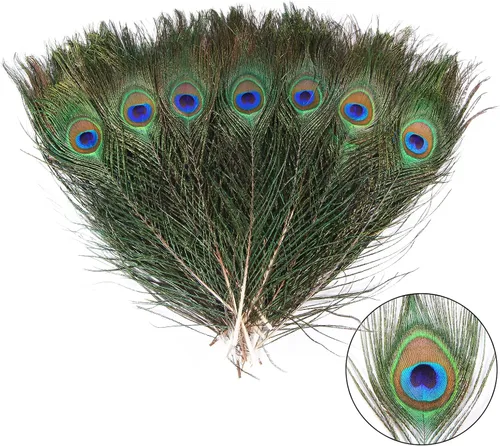 THARAHT 12 piezas de plumas de pavo real naturales a granel 10-12 pulgadas 25-30 cm, pequeñas, para manualidades, jarrones, decoración de boda,