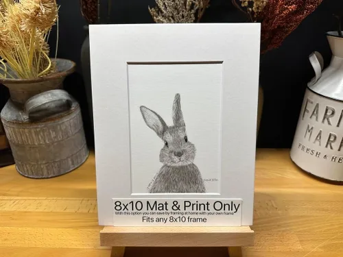 Bunny Rabbit Hare Nature Wildlife Graphite Pencil Art Sketch Drawing Print Picture Limited Edition ~ Titled 'Hare I Am' by David Allen (8x10 Mat &