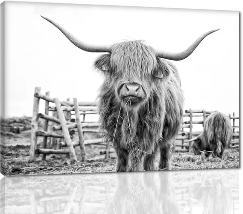 Miniatura 27 de Póster moderno de pared de vaca de las tierras altas, póster impreso en lienzo alpino desierto, decoración de pared de animales para sala de estar