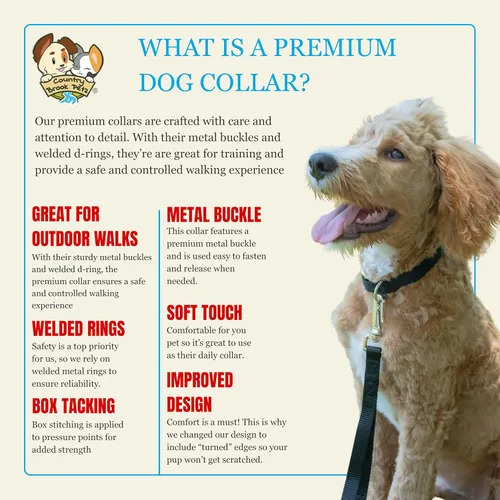 Miniatura 5 de Country Brook Petz – Collar de nailon premium para perro con hebilla de metal para razas pequeñas, medianas y grandes - 10+ colores geniales