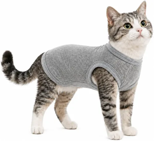 Miniatura 58 de Lovelonglong Ropa para mascotas de verano 2019, ropa para perro, camisetas en blanco, camisetas acanaladas, chalecos de hilo superior para perros