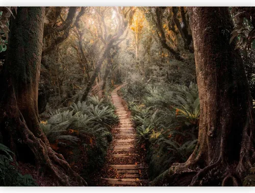 Miniatura 12 de artgeist Mural de pared premium Bosque púrpura, 79 x 55 pulgadas, papel tapiz no tejido, decoración de pared de vellón, impresión fotográfica