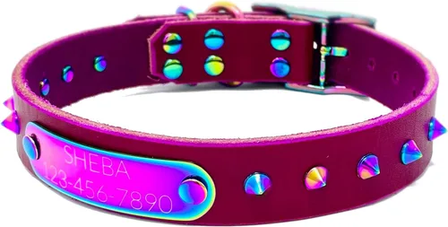 Miniatura 9 de Collar de perro de cuero con brida hecha a mano, grabado arco iris de acero inoxidable (negro)