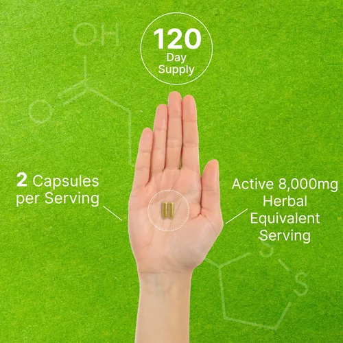 Miniatura 5 de Suplemento orgánico de hongos 10 en 1, 240 cápsulas – Melena de león, cola de pavo, reishi, cordyceps y más complejo de hongos – Apoyo inmunológico