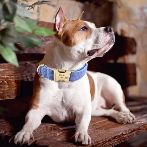 Miniatura 6 de Collares de perro personalizados con hebilla de metal, etiquetas de nombre personalizadas para mascotas para razas de niños y niñas pequeños