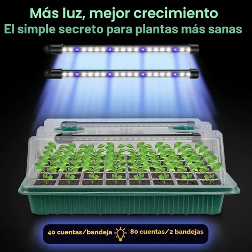 Miniatura 8 de BlumWay Bandeja de inicio de semillas con luz de crecimiento, paquete de 2 bandejas de semillas de 80 celdas con cúpula de humedad, kit de inicio