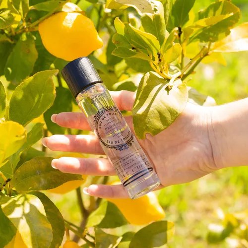 Miniatura 4 de Panier des Sens Provence (Citrus) Eau de Toilette - Perfume ligero para mujer - Fragancia natural, fresca y floral - Cabello y cuerpo - Eau