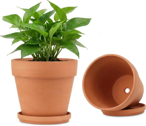 Miniatura 9 de Riseuvo Macetas de terracota de 3 pulgadas con platillo, paquete de 12 macetas de arcilla con drenaje, ideales para plantas, manualidades, recuerdos