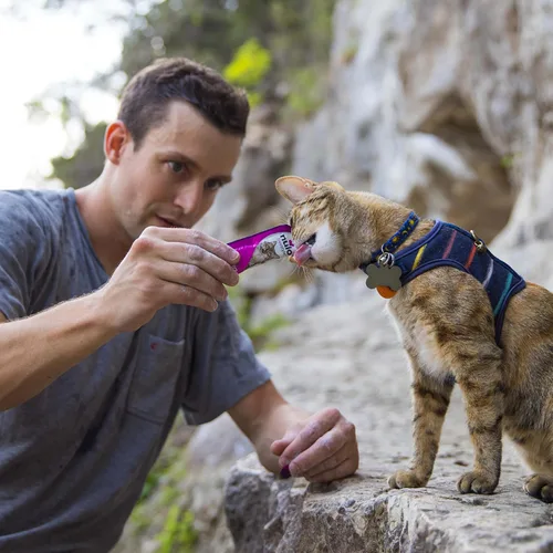 Miniatura 8 de Nulo Freestyle Purés Perfectos Sin Cereales Golosinas Húmedas Premium para Gatos, Puré Apretável para Felinos, Alto Contenido de Humedad para Apoyar