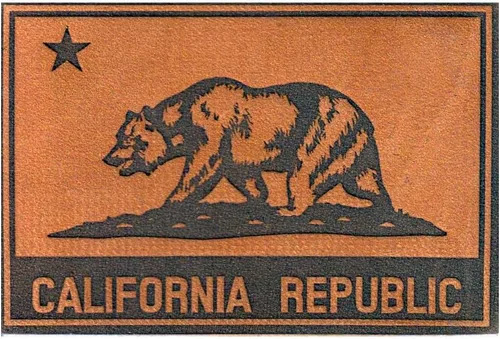 Miniatura 5 de Parche de moral para placa de matrícula de California Bay Area Gancho y bucle para sombreros, jeans, chalecos, abrigos, 2 x 3 pulgadas por Pull