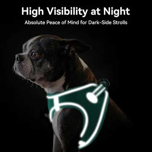 Miniatura 5 de Joytale Arnés para perro pequeño, chaleco de malla transpirable, arnés acolchado suave reflectante para perro de tamaño pequeño para caminar, verde