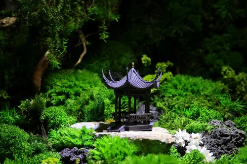 Miniatura 2 de KARESANSUI Pabellón chino tradicional - decoración de terrario, decoración de acuario chino, accesorios de jardín de hadas, decoración de paludario