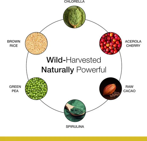 Miniatura 5 de Dr. Schulze's SuperProtein Plus - Proteína en polvo a base de plantas - Suplemento de estilo de vida activo - Apoya la salud muscular - Mezcla