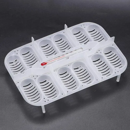 Miniatura 10 de Caja de cría de reptiles, incubadoras de huevos de reptiles de plástico con tapa transparente para eclosionar, lagartos, melena de león, reptiles