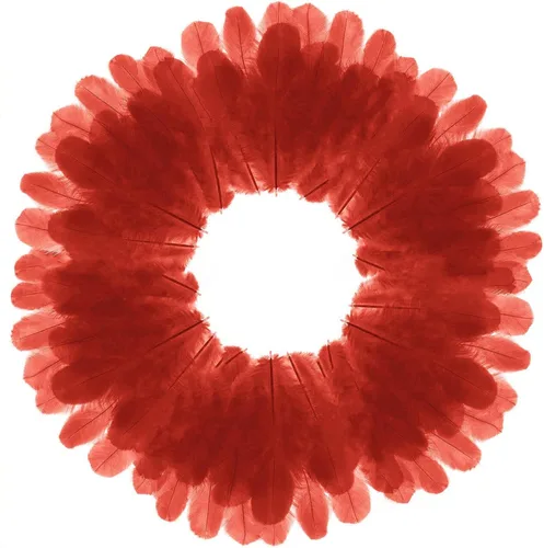 Miniatura 9 de 800 plumas de gallo negras de 3 a 5 pulgadas a granel para manualidades de jardín de infantes, bodas, decoraciones de fiesta familiar, suministros