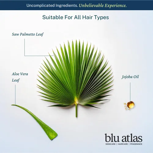Miniatura 3 de Blu Atlas Champú natural para hombre – Orgánico, sin sulfatos ni parabenos – Limpieza profunda e hidratante – Aroma de cedro Santal – Hecho