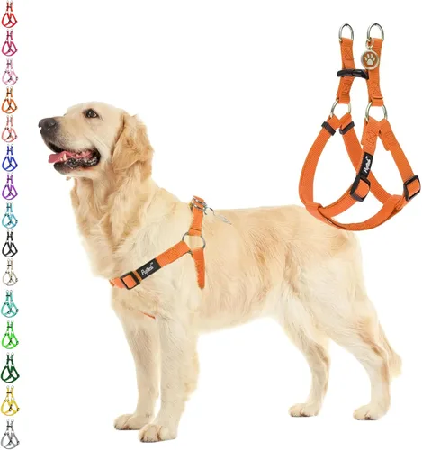 Miniatura 22 de PUPTECK arnés para perro para no jalar, reflejante, ajustable, básico, de nailon, chaleco para cachorro, para caminar al aire libre con etiqueta