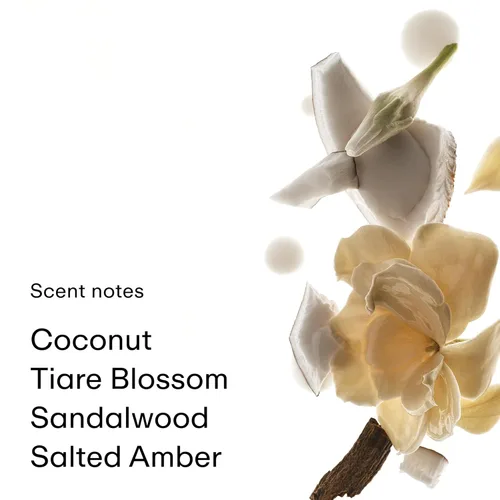 Miniatura 3 de PHLUR Coconut Skin Body Mist - Bruma de fragancia para cabello y cuerpo - Spray corporal de coco con caramelo, flores blancas, sándalo y ámbar