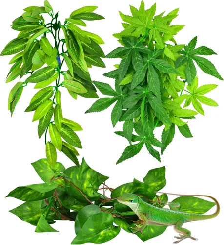 KATUMO Plantas de reptiles, 3 plantas colgantes de anfibios con ventosa para lagartos, geckos, dragones barbudos, serpientes, cangrejos ermitaños