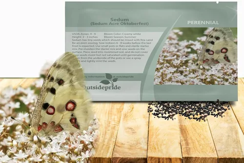 Outsidepride Oktoberfest Semillas Sedum - 1000 semillas perennes de cobertura del suelo para plantar, plantas suculentas resistentes al frío y