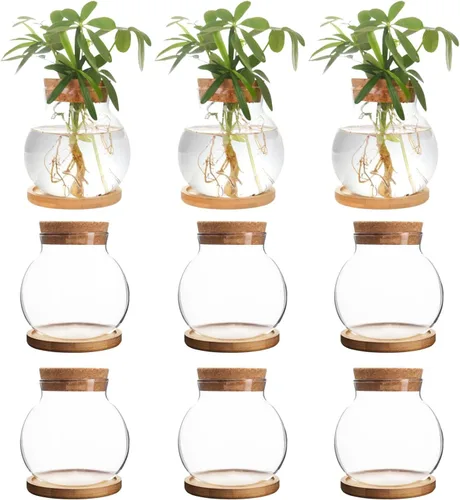 Miniatura 10 de Estación de Propagación de Plantas CHPINDAM, Jarrones de Contenedor de Vidrio Hidropónico, con Plato de Madera para Escritorios, Casas, Decoraciones