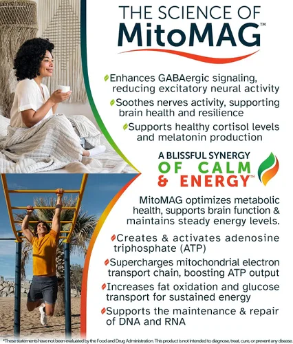 Miniatura 5 de Blissful MitoMag - Complejo de magnesio elemental de 300 mg: Mg glicinato, Mg BHB - Músculos del sueño Energía del estado de ánimo Enfoque cognitivo