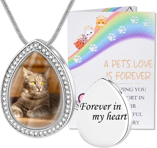 Miniatura 29 de Fanery Sue Collar personalizado para cenizas de mascotas para perros y gatos, foto y texto personalizados, regalo de condolencia, regalo de cremación