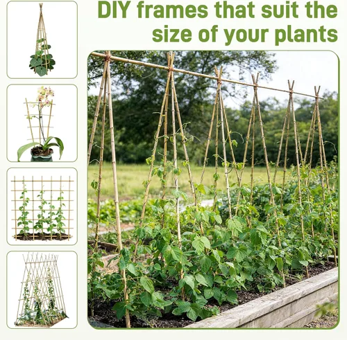 Miniatura 4 de Estacas de jardín de 0,32"-0,4"/ 4 pies, varillas de bambú natural para plantas de interior y exterior, postes para tomates, frijoles, plantas