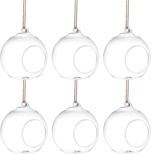 Happyyami 6Pcs 10Cm Glass Hanging Terrarium Holder with 6M Jute Rope for Indoor Plant Decor, Succulent and Air Plant Vase Set, Home Hanging Planter